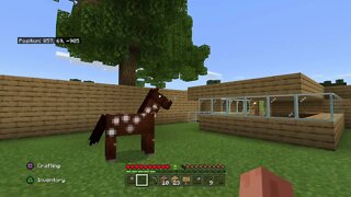 Minecraft New Beginnings Part 6-We Have A Horse