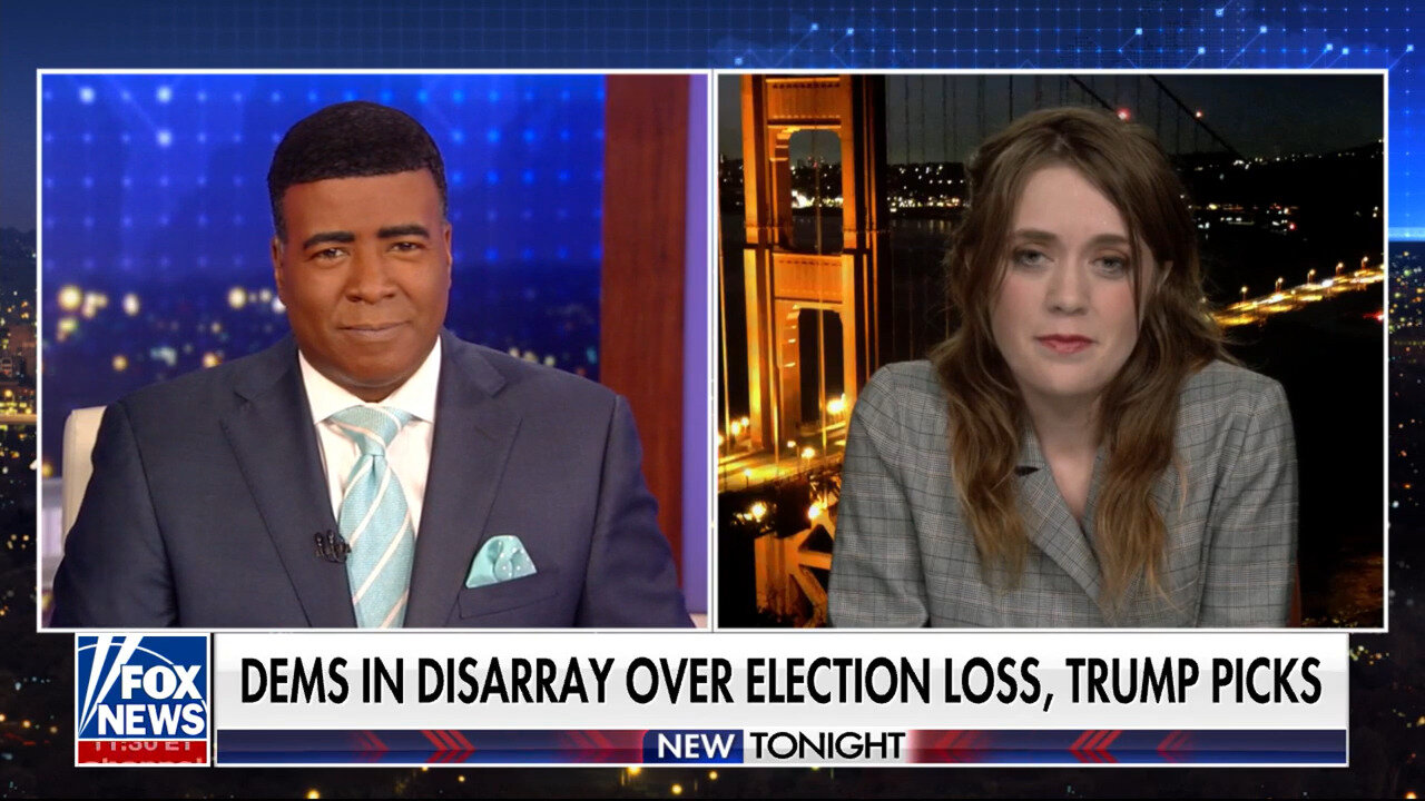 Former Dem Operative Sees Party Blaming Everyone From 'Voters To Elon Musk To Each Other'