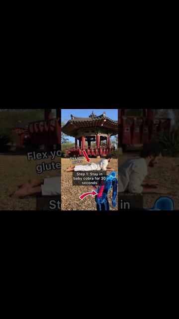 Single Back Pain Fix (Sciatica)