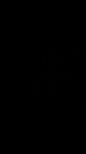 Club championship trophy 🏆