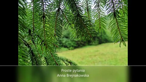 Proste pytania -Anna Brejnakowska