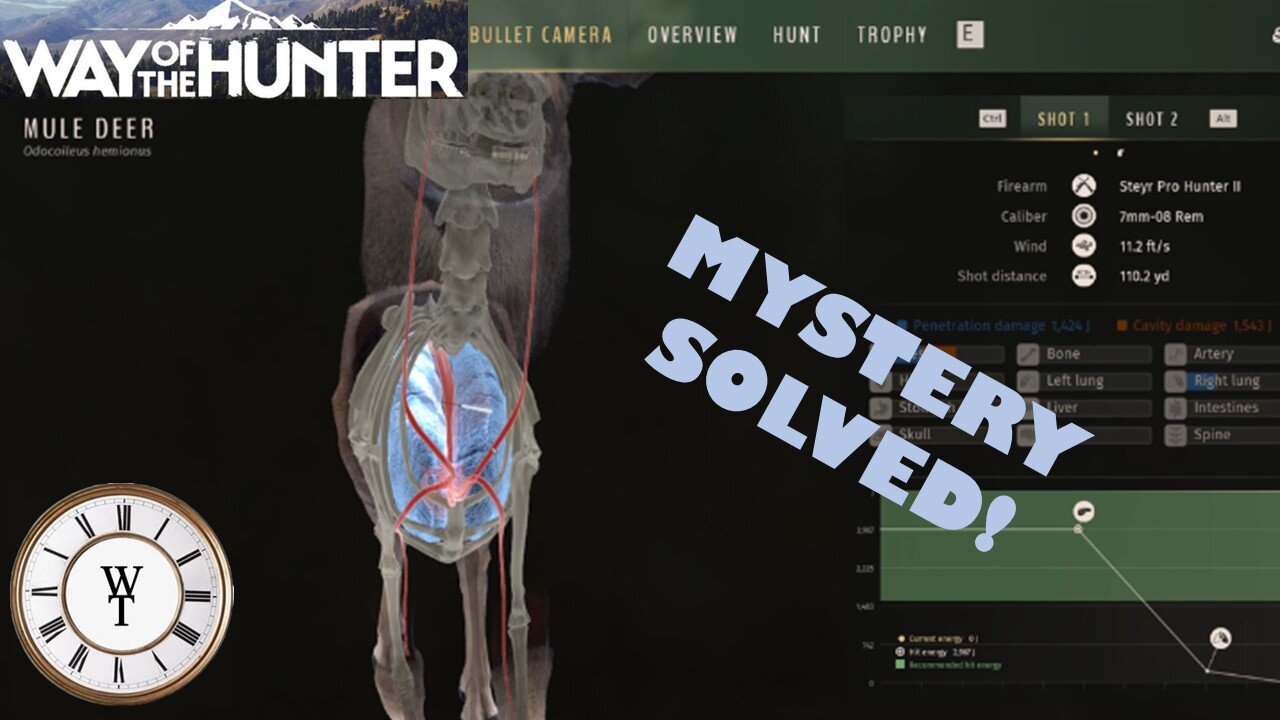 Disappearing Bullet Mystery Solved! - Way of the Hunter