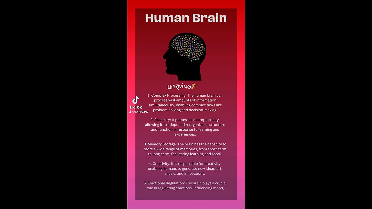 Five Remarkable Qualities of the Human Brain Explained!