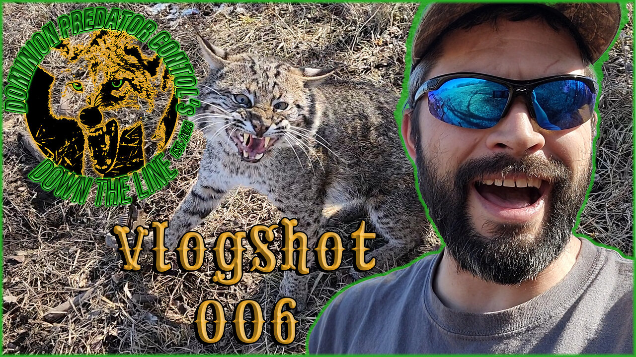 Monster Cat | DPC's Down The Line VlogShot 006