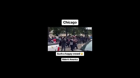 Black Israelites and Pro Hamas Protesters Fight in Chicago