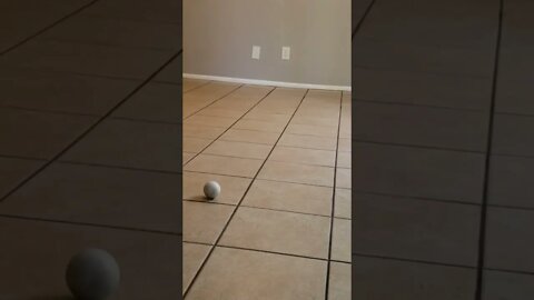 The easiest way to demonstrate an uneven floor is to roll a ball!