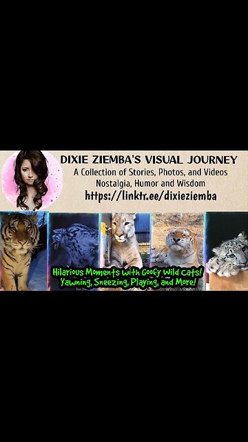 Hilarious Moments with Goofy Wild Cats! Yawning, Sneezing, Playing, and More!