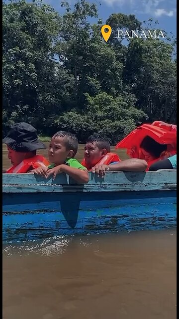 UN promoting immigration..