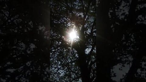 Portal of the 🌞