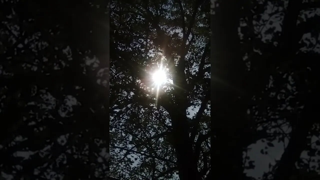 Portal of the 🌞