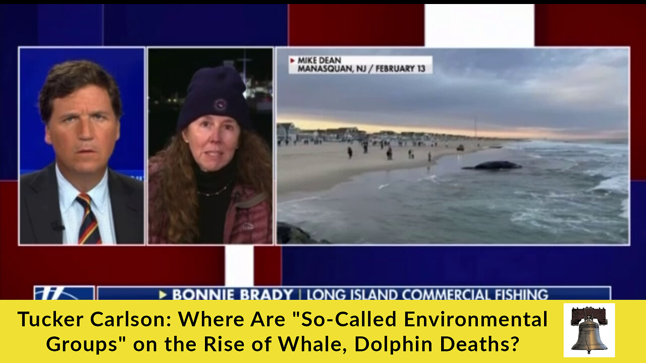 Tucker Carlson: Where Are "So-Called Environmental Groups" on the Rise of Whale, Dolphin Deaths?