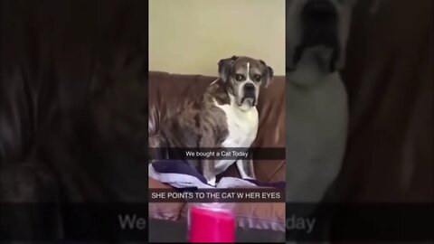 it's #the #one #and #only D-O double G #memedodoubleg