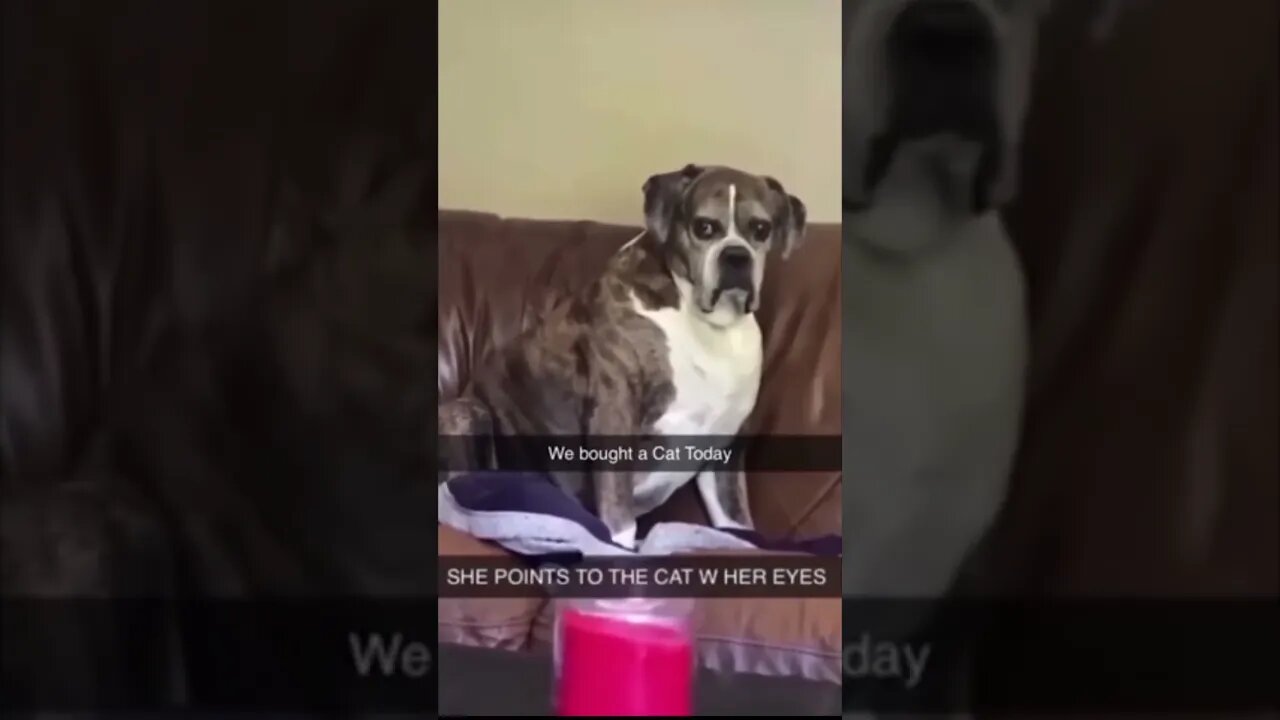 it's #the #one #and #only D-O double G #memedodoubleg