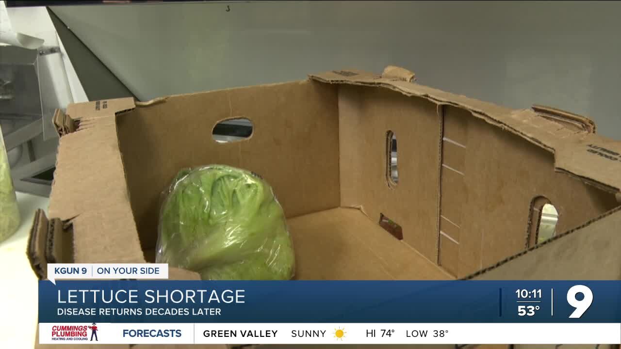 Lettuce shortage affecting produce distributors and consumers