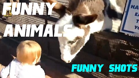 Funny videos (Funny animals with kids(Laugh with funny animals