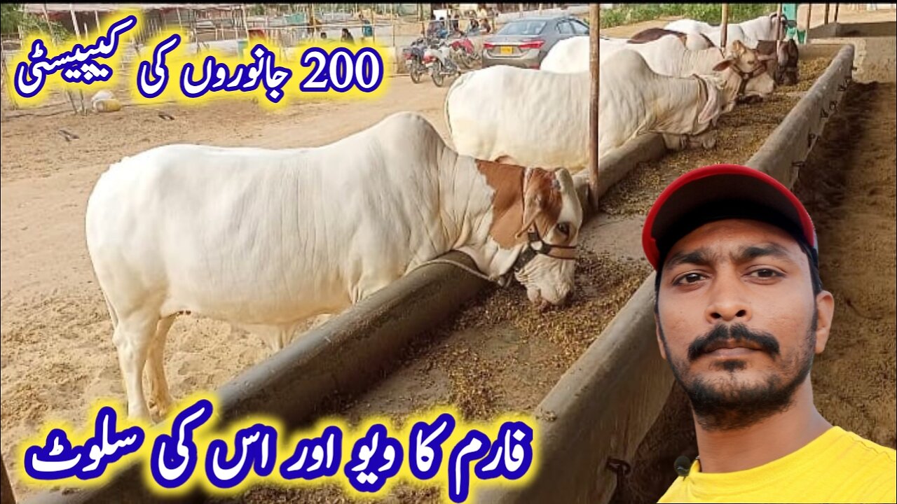 Al Khaleej Farm: Zameen Ki Raqba aur Farm Ke Solat