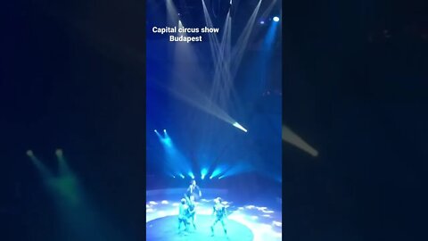 Capital circus 🤡 show in Budapest