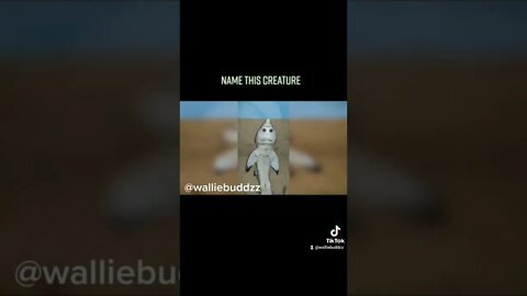 Name this creature
