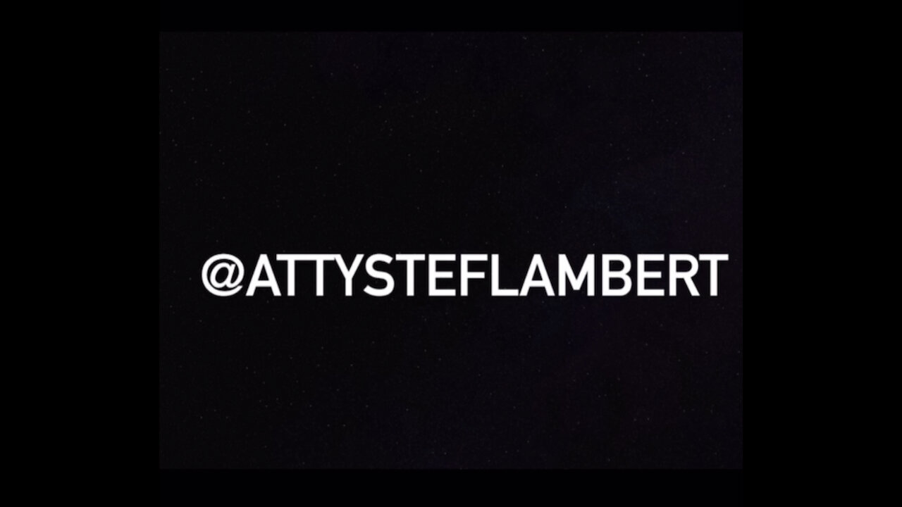 Stefanie Lambert, Michigan attorney being persecuted for election integrity and freedom