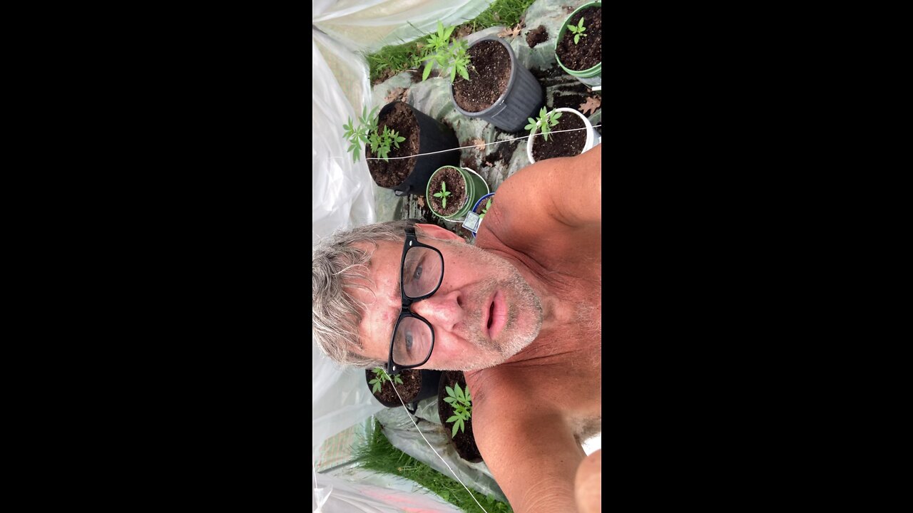 Derekhunterpodcast greenhouse Letsgobrandon