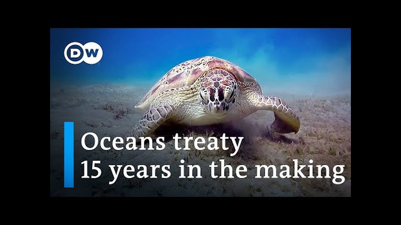 UN secures landmark deal to protect the world's oceans | DW News