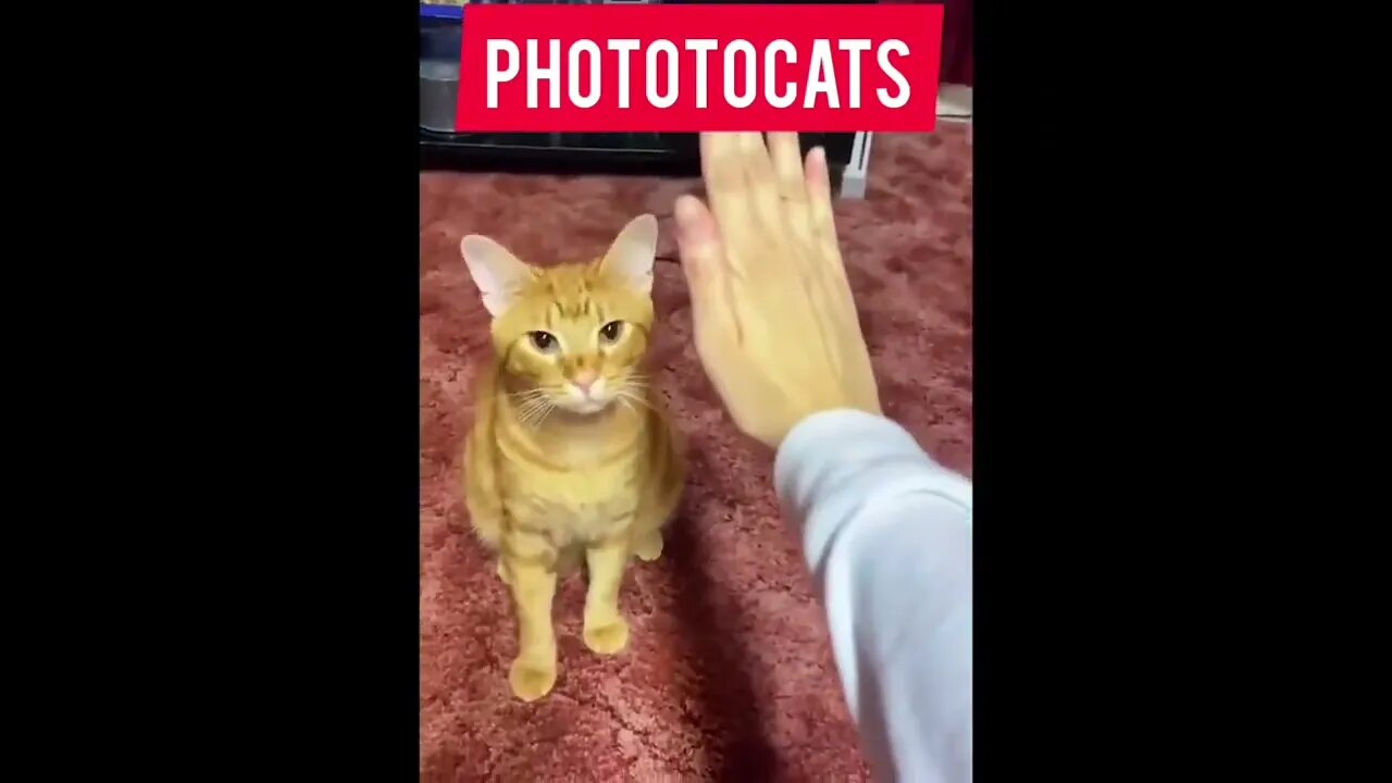 tap,tap..