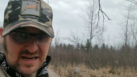 Spring Time Observations on 20 acres #88 Complete Deer TV