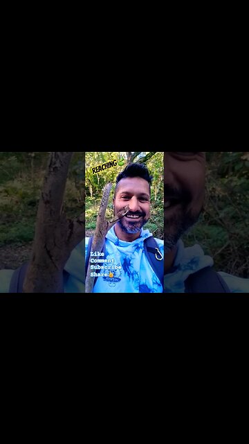 Reaching🍃 #nature #naturelovers #trees #naturespirit #stick #lotr #walking #walkingaround #adventure