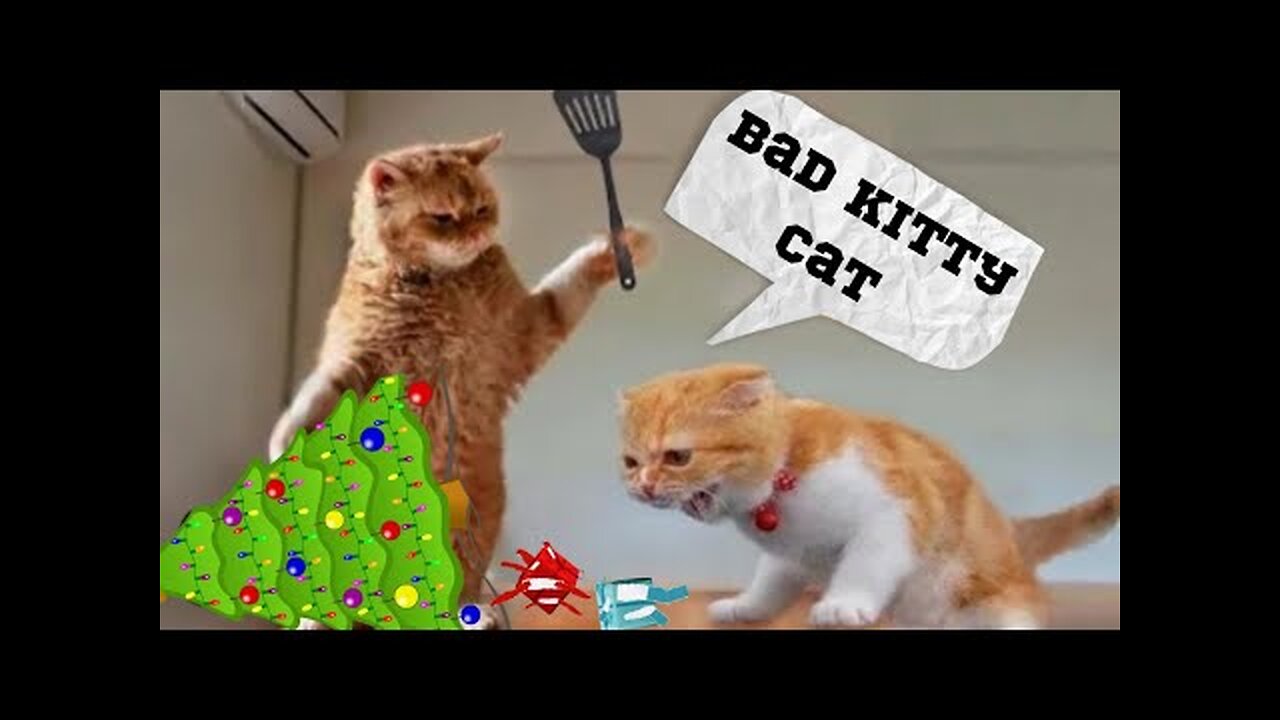 Funniest Animals of 2023 😂 Funny Cats and Dogs viral video #funnydogs #funnycats #funnyanimals