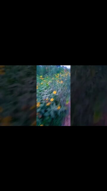 saari duniya ko pehchanu #shorts #shorts #viral