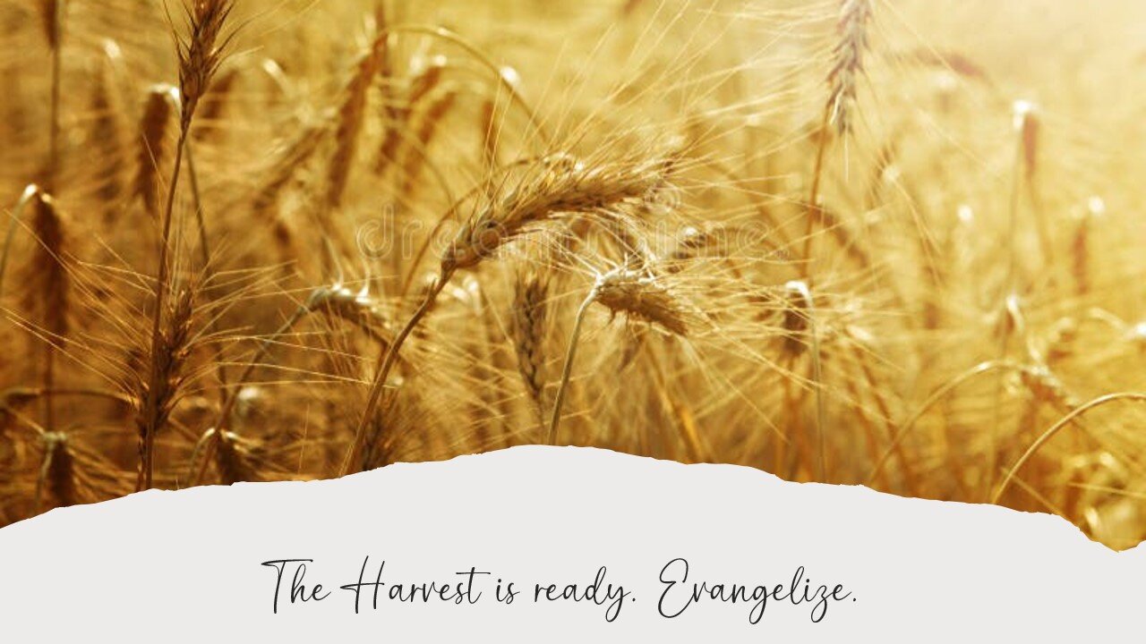 The Harvest Is Ready, Evangelize