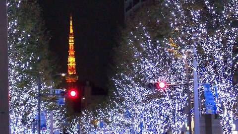 Tokyo Tower Christmas lights