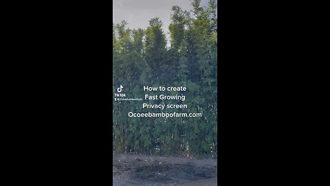 How to Create Fast Growing Privacy screen