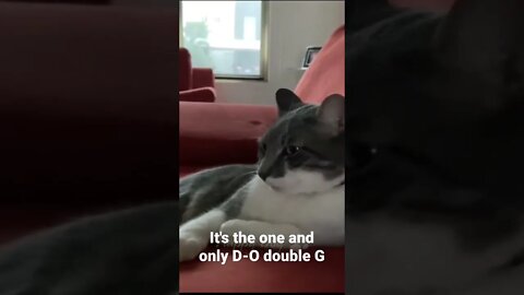 It's the one and only D-O double G #shorts