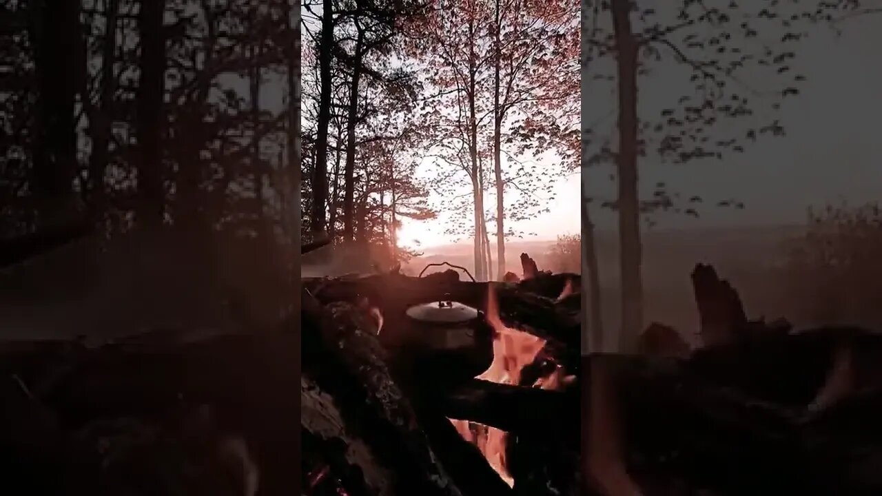 Camping in the woods....