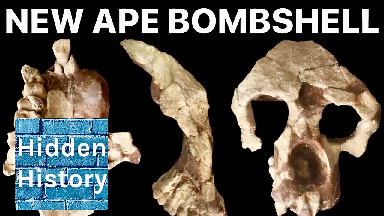 New ancient ape from Turkey challenges ‘Out of Africa’ theory of human origins