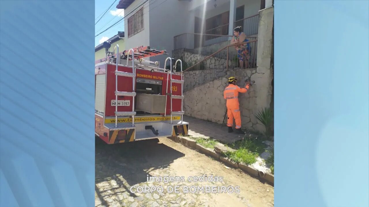 Situação inusitada: bombeiros resgatam gatos presos no buraco de parede em Teófilo Otoni