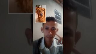 MENSAGEM PRA VOCÊ- #shorts #tiktok #humor #trend #pets #dog