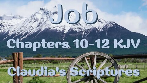 The Bible Series Bible Book Job Chapters 10-12 Audio