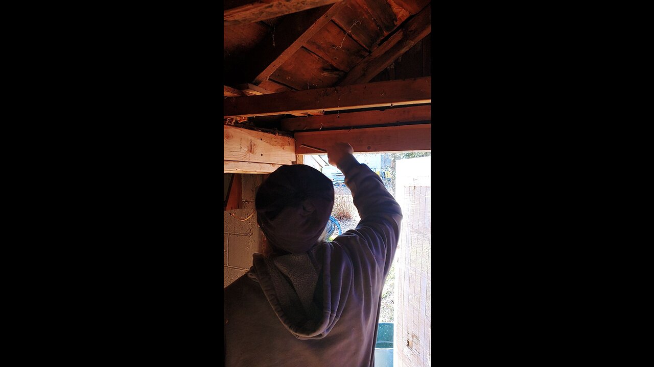 taking down dropped ceiling