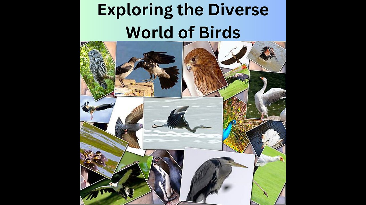 Exploring the Diverse World of Birds