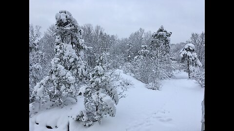 Vintervackert vid huset❤️Pussel gillar snön och var pigg efteråt😊🐕💕