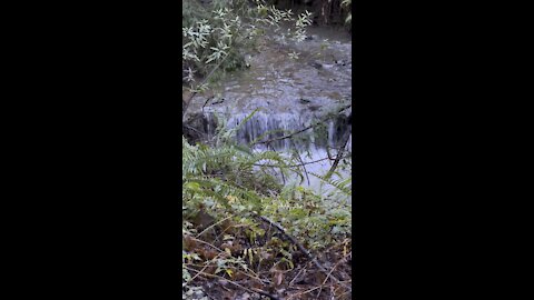 Redwood Creek Waterfall