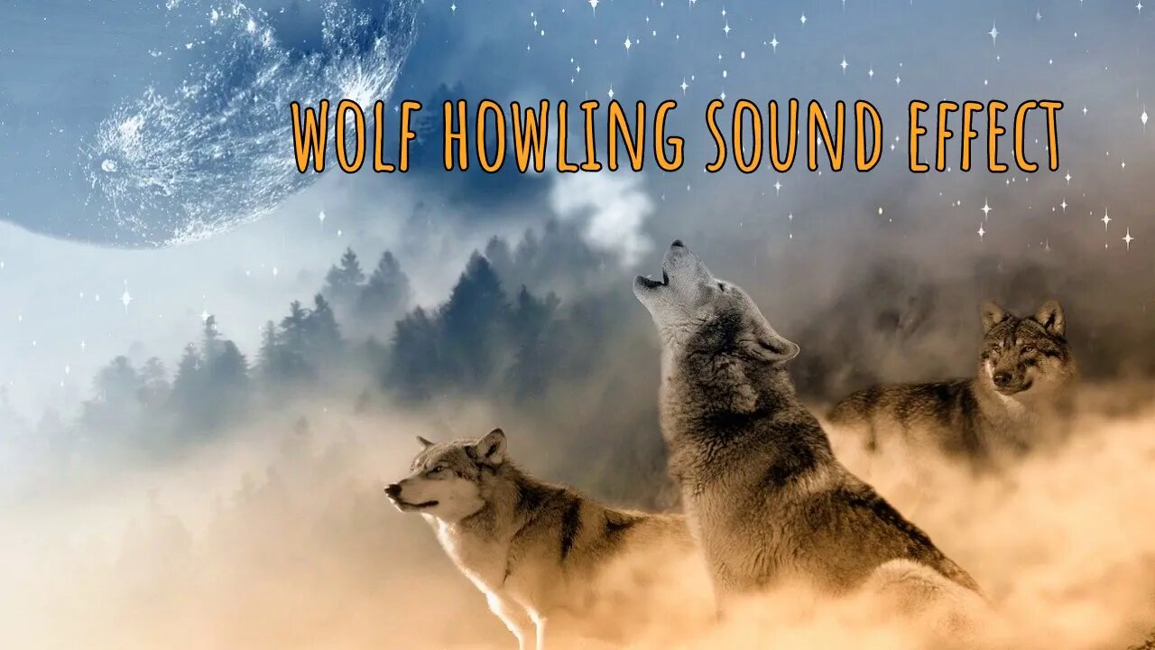 WOLF HOWLING🐺Sound Effects Free Download-0:09 Minutes🐺mp3 Download #wolf