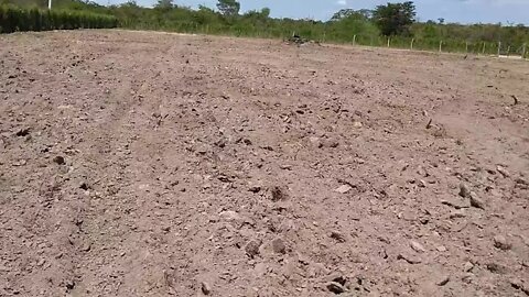 Tombamos a terra aramos agora esta pronta para o plantio