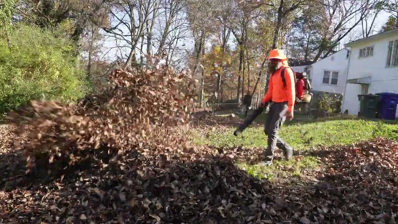 She Cried Tears of JOY - FREE Leaf Cleanup