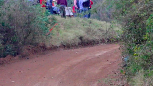 Racing Car Misses Lucky Dog Only By Inches