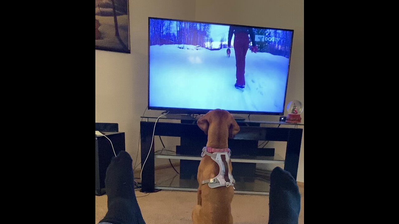 Ivy’s Favorite show