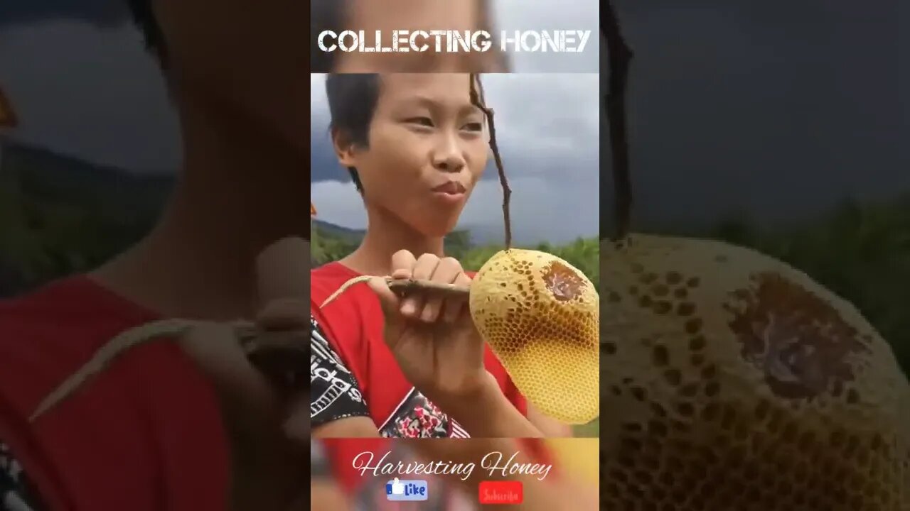 Honey Satisfying!😋🥰#viral #hon#shorts #foryou #fyp