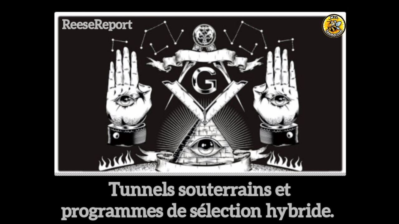 Tunnels souterrains et programmes de sélection hybride.